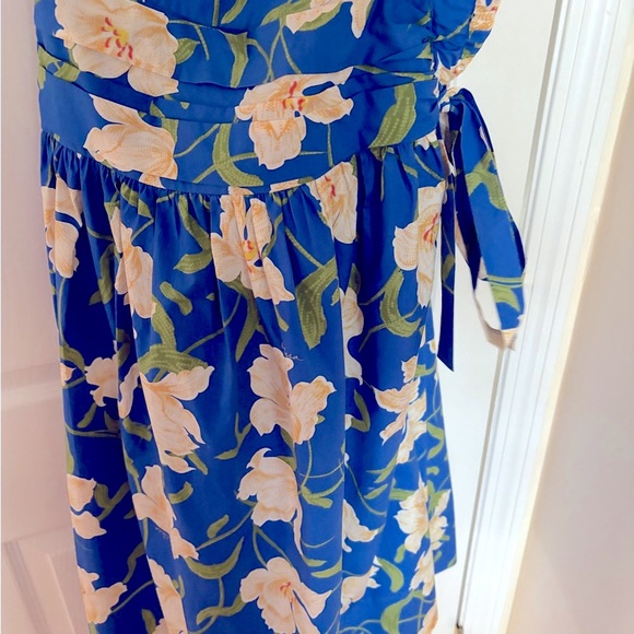 Cara Cara Blue Floral Midi Skirt - Picture 3 of 5
